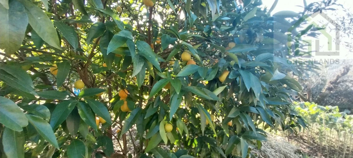 Moradia T3 para Venda em Folques Foto 8