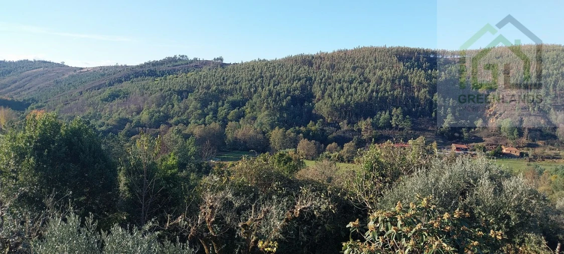 Moradia T3 para Venda em Folques Foto 6