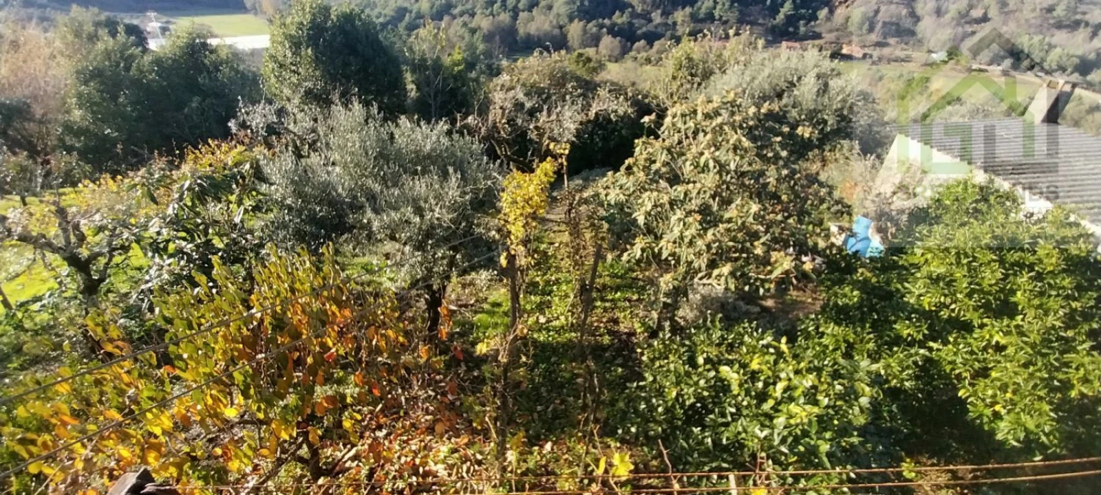 Moradia T3 para Venda em Folques Foto 5