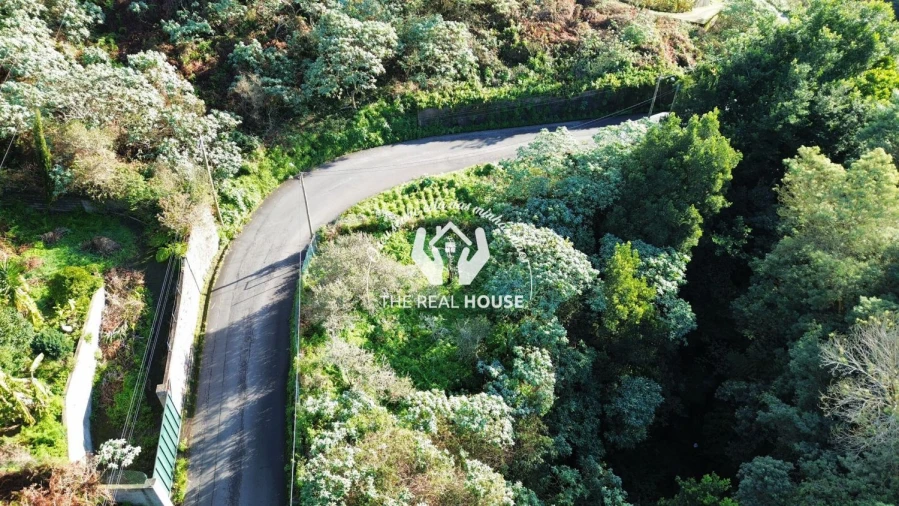 Terreno para Venda em Santo Antonio da Serra Foto 4