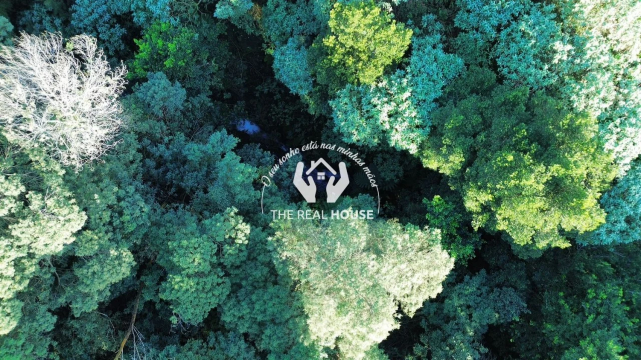 Terreno para Venda em Santo Antonio da Serra Foto 14