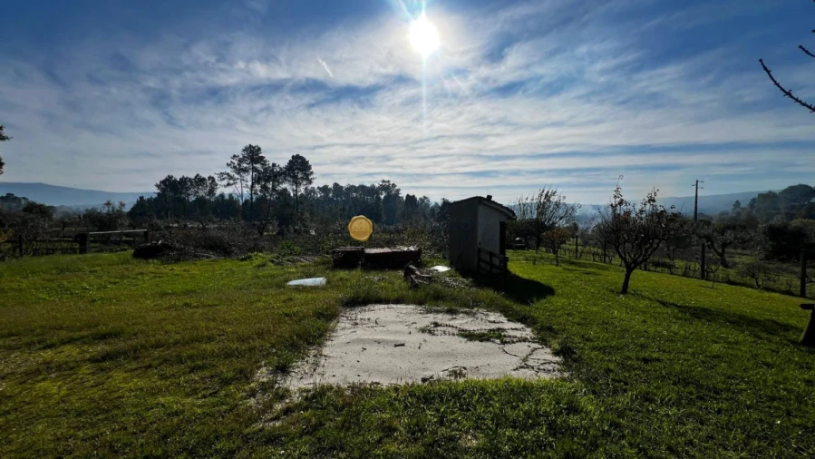 Moradia T4 para Venda em Semide e Rio Vide Foto 28