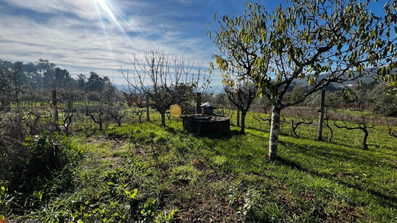 Moradia T4 para Venda em Semide e Rio Vide Foto 27