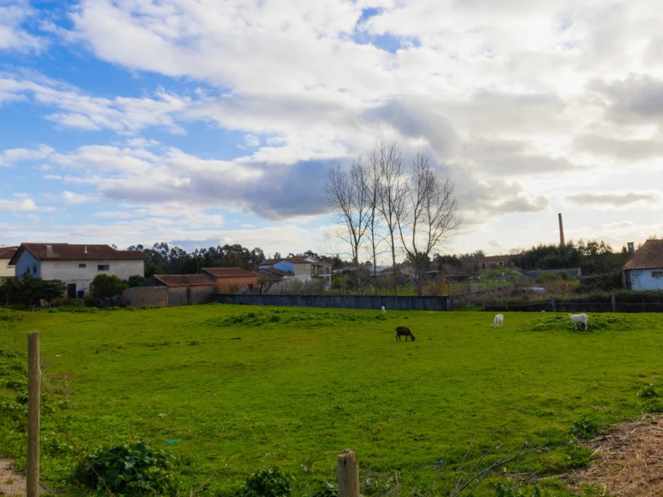 Terreno para Venda em Arazede Foto 2