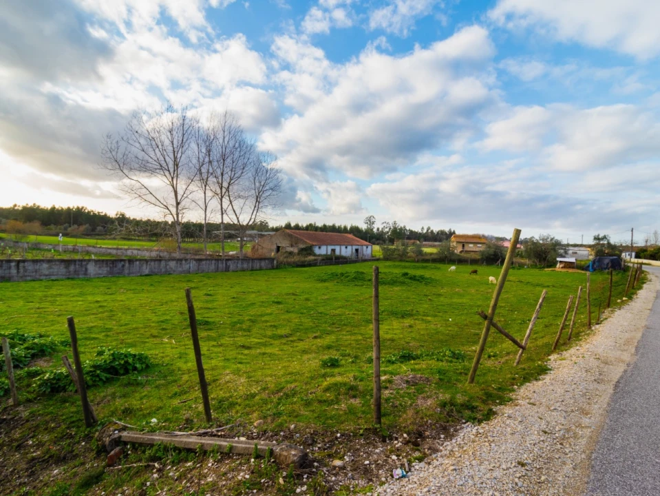 Terreno para Venda em Arazede Foto 11