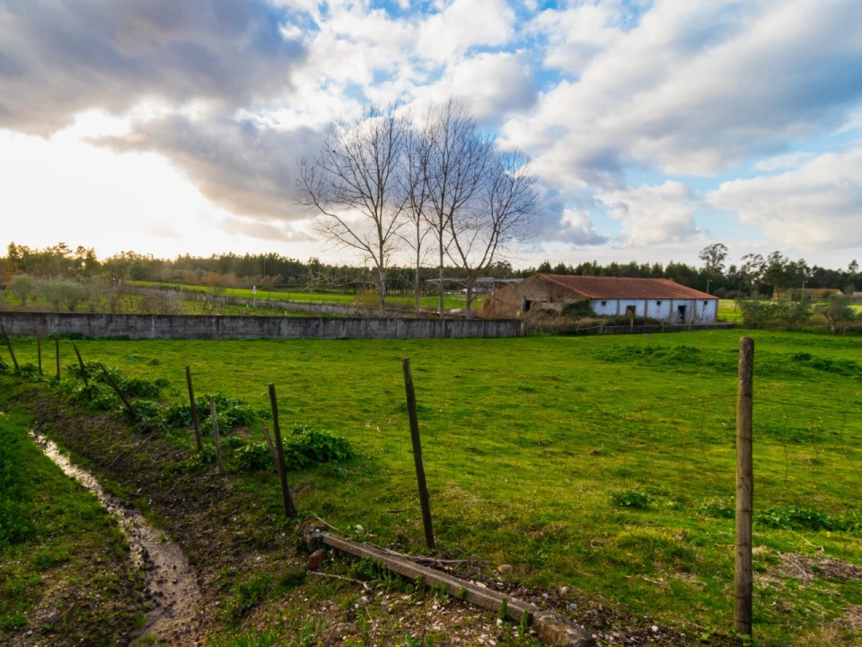 Terreno para Venda em Arazede Foto 12