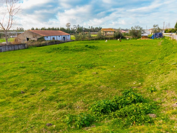 Terreno para Venda em Arazede