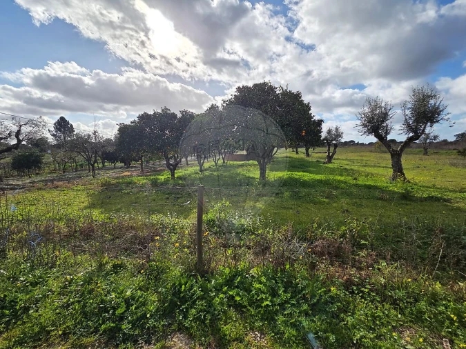 Moradia T1 para Venda em Branca Foto 25