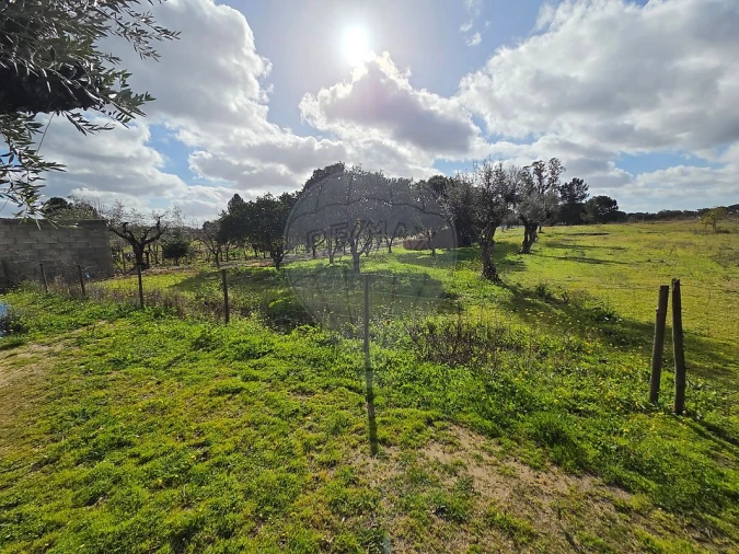 Moradia T1 para Venda em Branca Foto 5