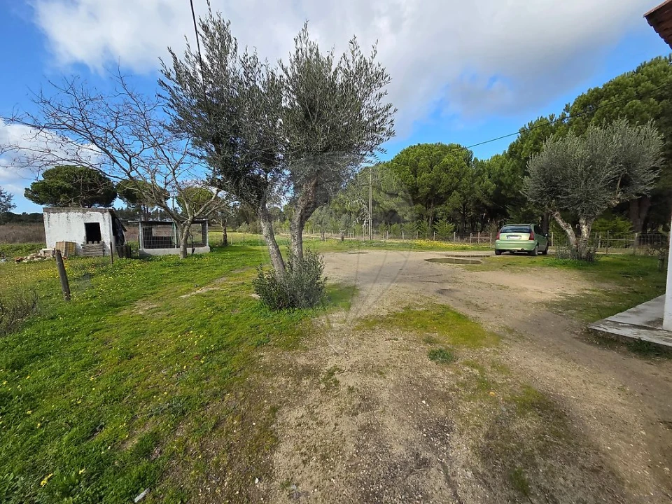 Moradia T1 para Venda em Branca Foto 26