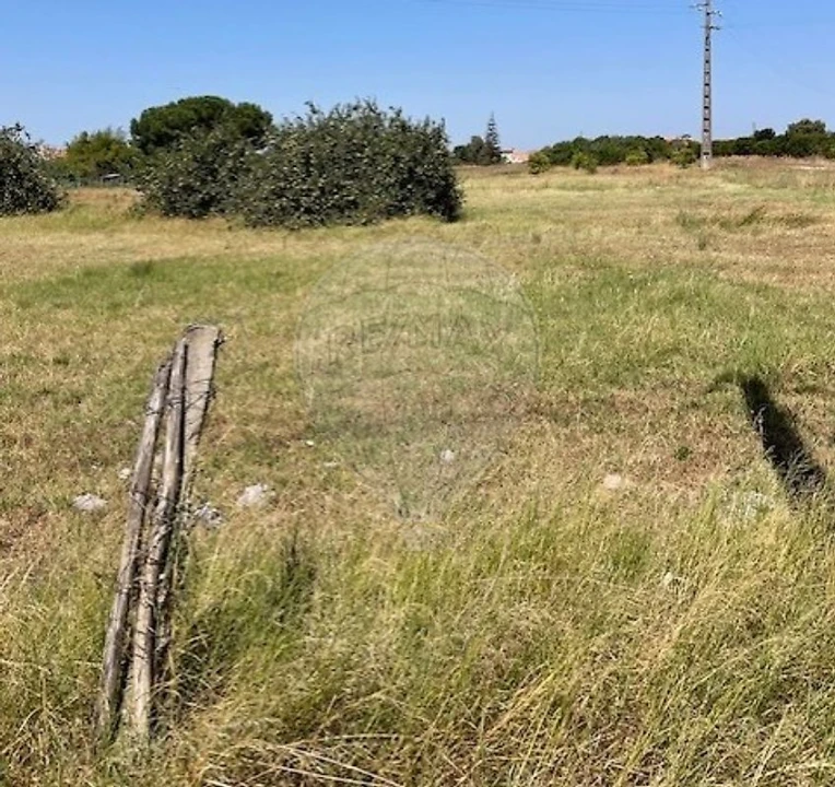 Terreno para Venda em Marinhais Foto 3