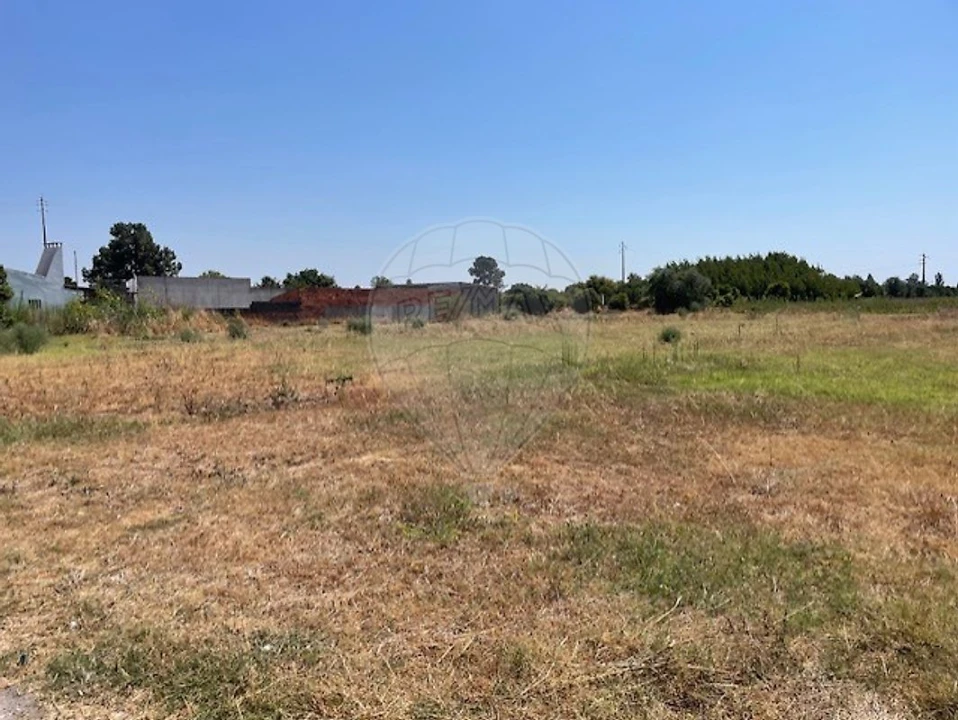 Terreno para Venda em Marinhais Foto 1