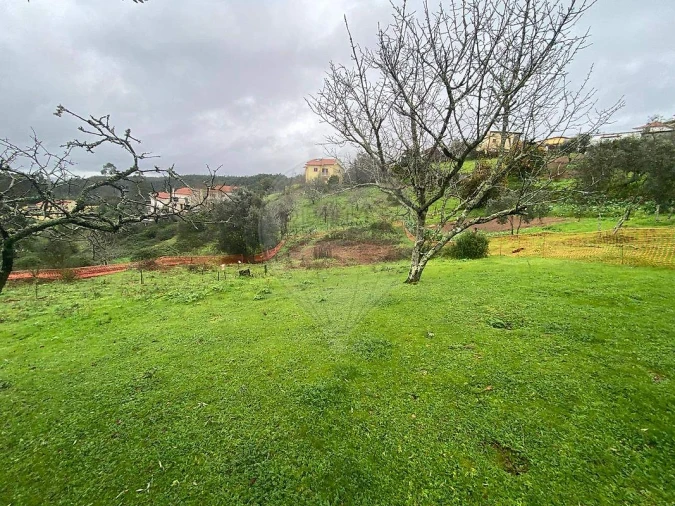 Terreno para Venda em Santo Antonio dos Olivais Foto 3