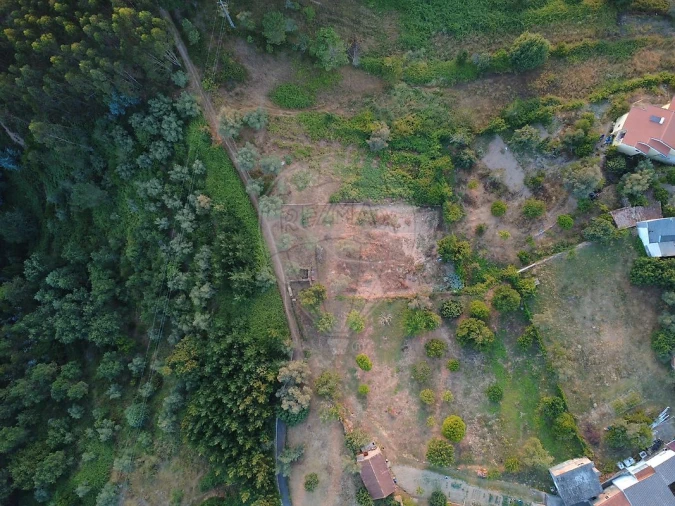 Terreno para Venda em Santo Antonio dos Olivais Foto 2