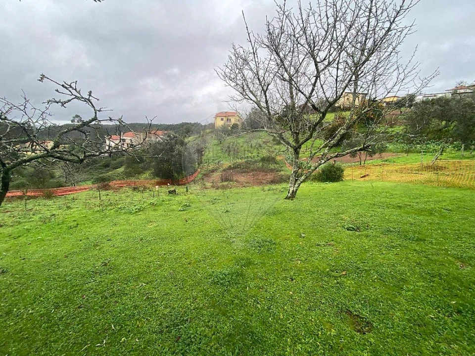 Terreno para Venda em Santo Antonio dos Olivais Foto 3