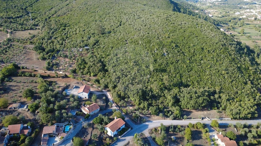 Terreno para Venda em São Miguel, Santa Eufémia e Rabaçal Foto 9