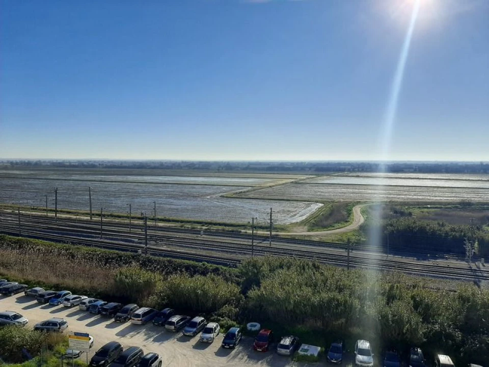 Apartamento T2 para Venda em Azambuja Foto 14