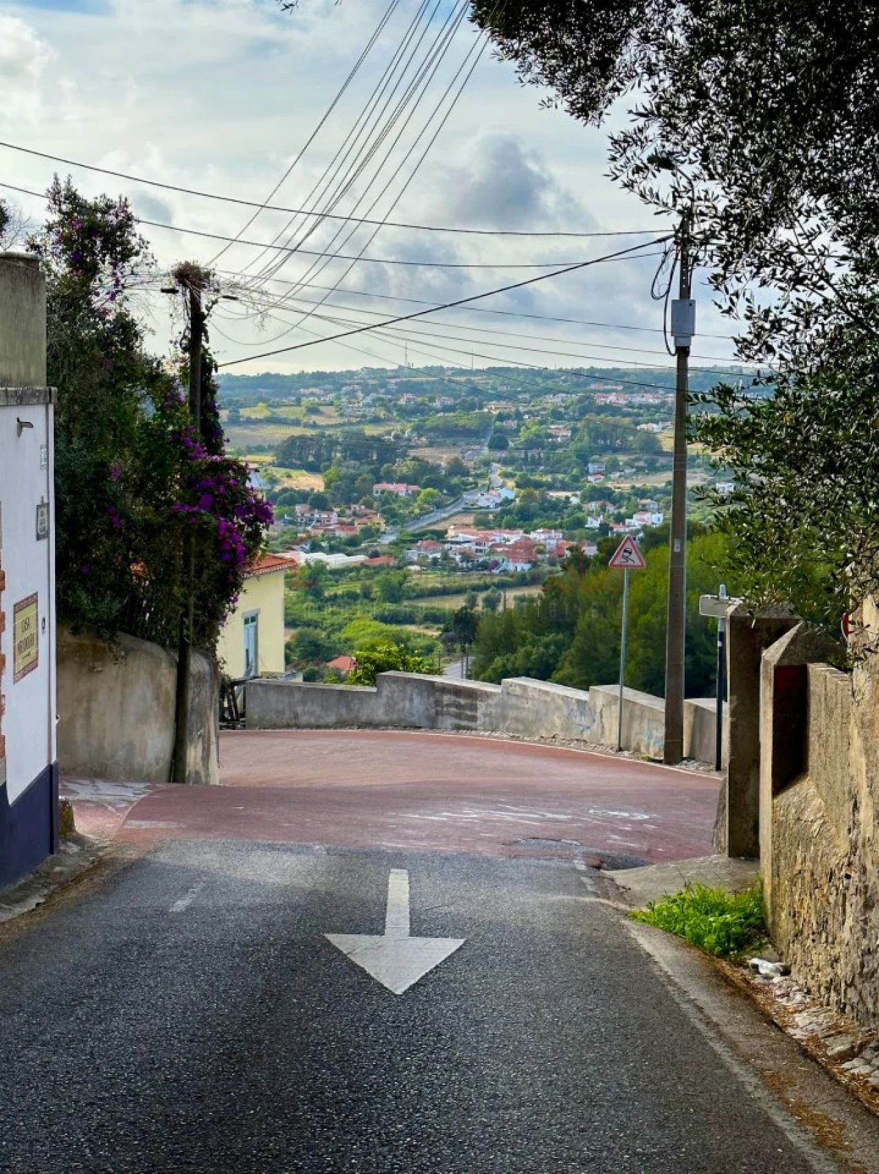 Negócio para Venda em Santa Maria e São Miguel, São Martinho, São Pedro Penaferrim Foto 26