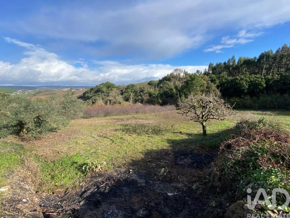 Terreno para Venda em Santa Maria, São Pedro e Matacães Foto 3