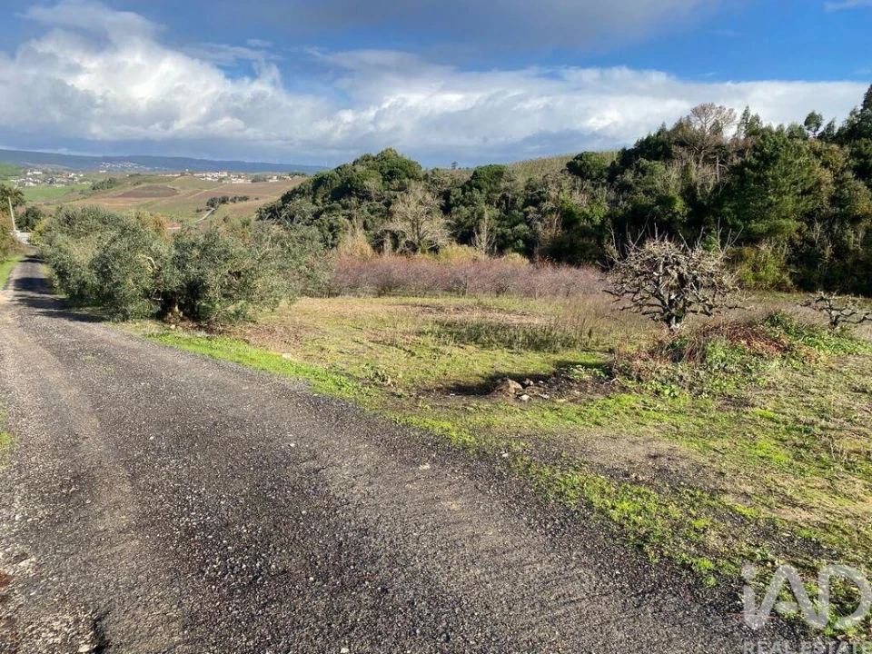 Terreno para Venda em Santa Maria, São Pedro e Matacães Foto 2