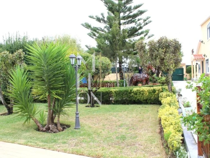 Moradia T3 para Venda em Santa Maria e São Miguel, São Martinho, São Pedro Penaferrim Foto 21