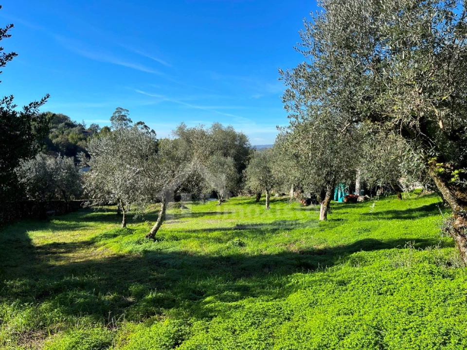 Terreno para Venda em Ansião Foto 5