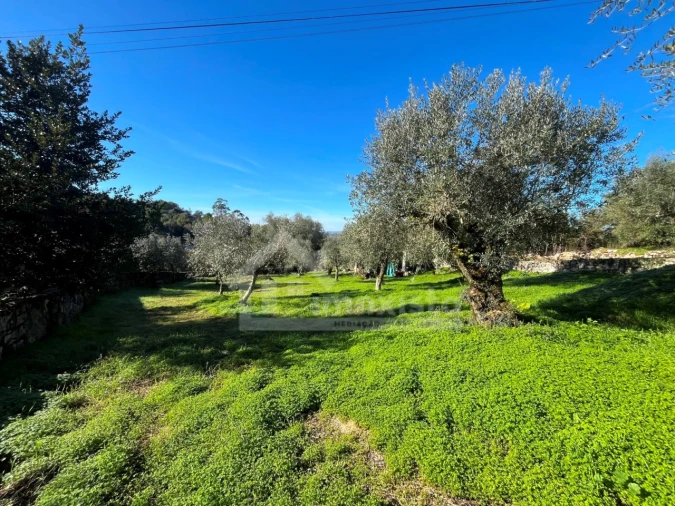Terreno para Venda em Ansião Foto 6