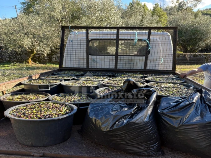 Terreno para Venda em Ansião Foto 19
