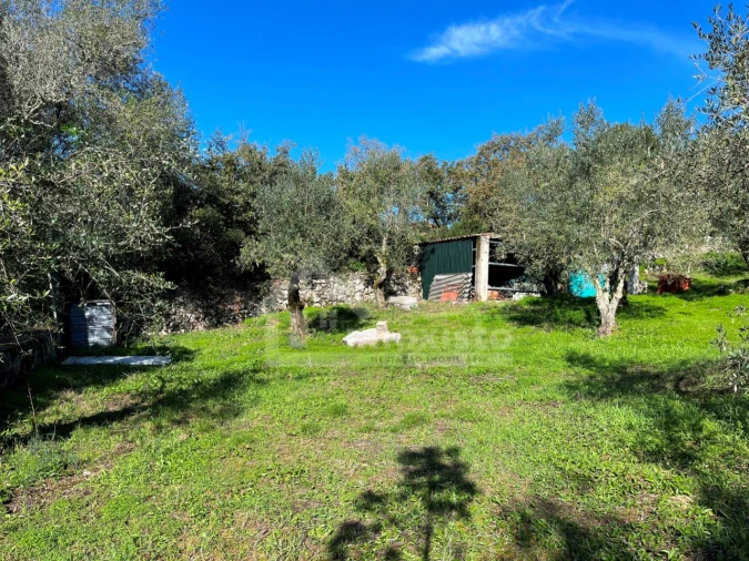 Terreno para Venda em Ansião Foto 11