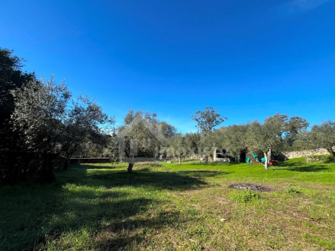 Terreno para Venda em Ansião Foto 13