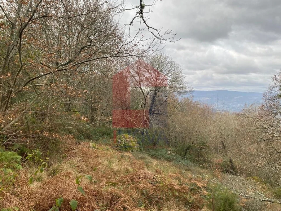 Terreno para Venda em Cuide de Vila Verde Foto 17