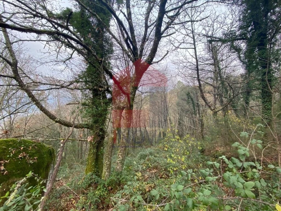 Terreno para Venda em Cuide de Vila Verde Foto 5