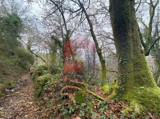 Terreno para Venda em Cuide de Vila Verde Foto 12