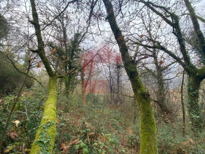 Terreno para Venda em Cuide de Vila Verde Foto 2