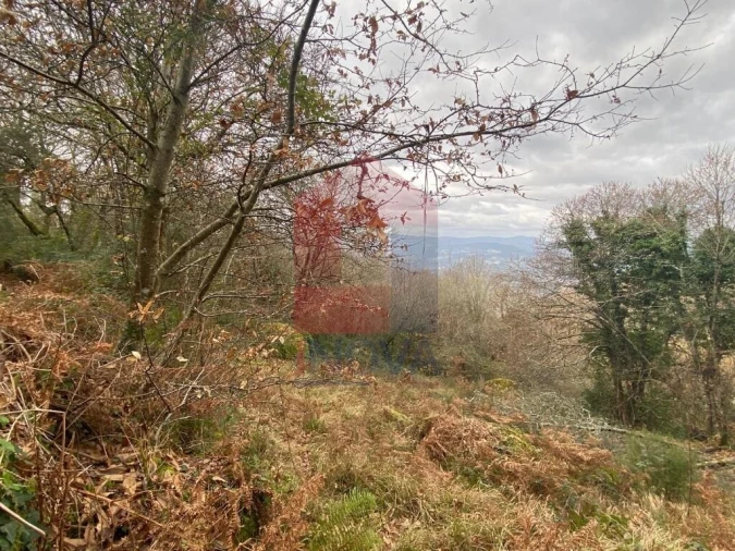 Terreno para Venda em Cuide de Vila Verde Foto 15