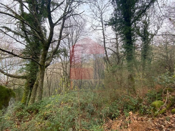 Terreno para Venda em Cuide de Vila Verde Foto 9