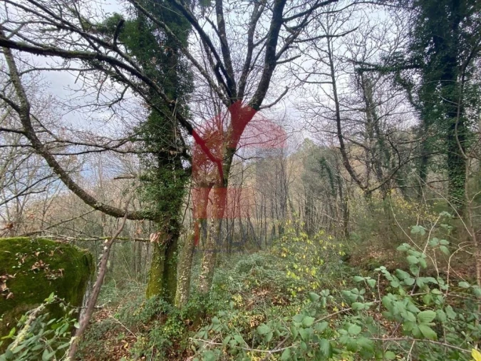Terreno para Venda em Cuide de Vila Verde Foto 5