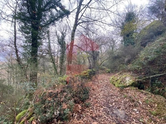 Terreno para Venda em Cuide de Vila Verde Foto 10