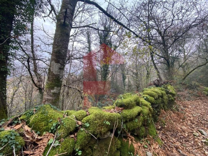 Terreno para Venda em Cuide de Vila Verde Foto 11
