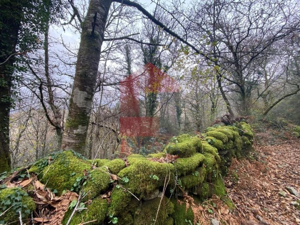 Terreno para Venda em Cuide de Vila Verde Foto 11