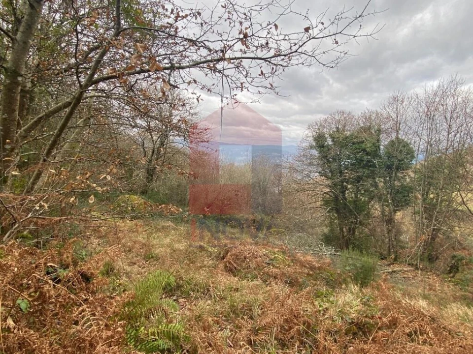 Terreno para Venda em Cuide de Vila Verde Foto 16