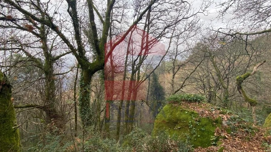 Terreno para Venda em Cuide de Vila Verde
