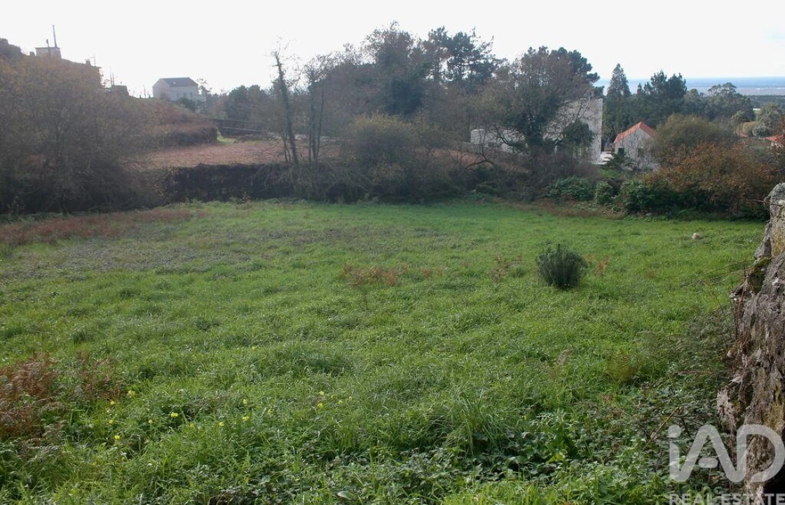 Terreno para Venda em Esposende, Marinhas e Gandra Foto 9