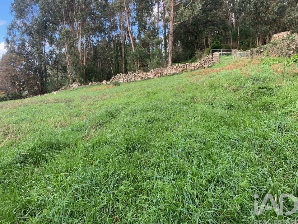 Terreno para Venda em Esposende, Marinhas e Gandra Foto 21