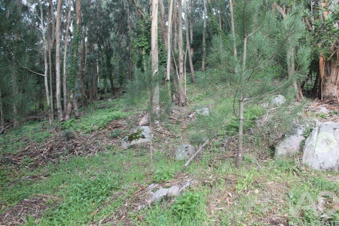 Terreno para Venda em Esposende, Marinhas e Gandra Foto 12