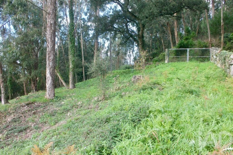 Terreno para Venda em Esposende, Marinhas e Gandra Foto 16