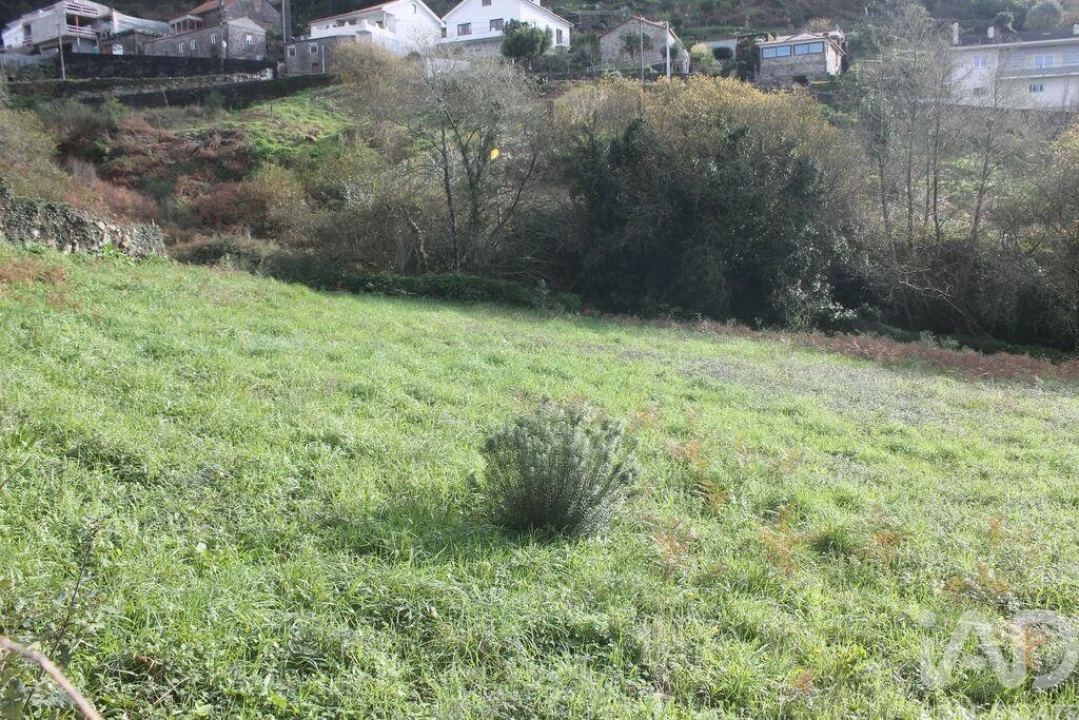 Terreno para Venda em Esposende, Marinhas e Gandra Foto 15