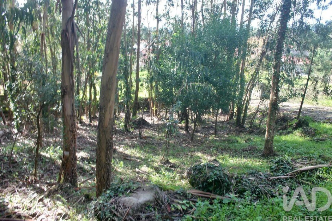 Terreno para Venda em Esposende, Marinhas e Gandra Foto 5