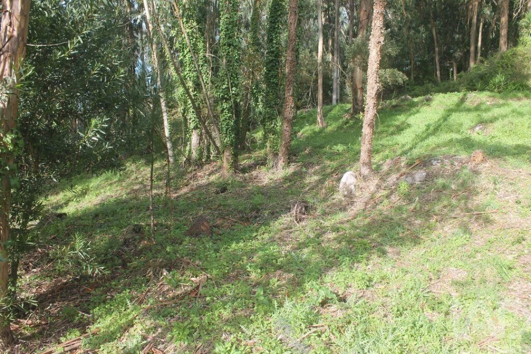 Terreno para Venda em Esposende, Marinhas e Gandra Foto 14