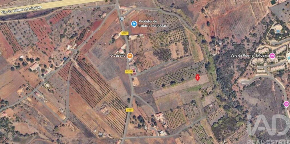 Terreno para Venda em Odiaxere